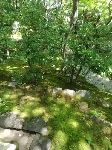 常寂光寺(京都府)