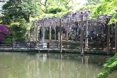 越ヶ谷久伊豆神社(埼玉県)