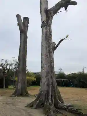 巨椋神社の自然