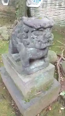 赤坂氷川神社の狛犬
