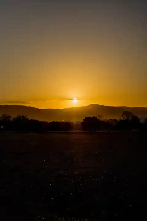 西大寺(奈良県)