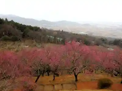 石稲荷神社の自然