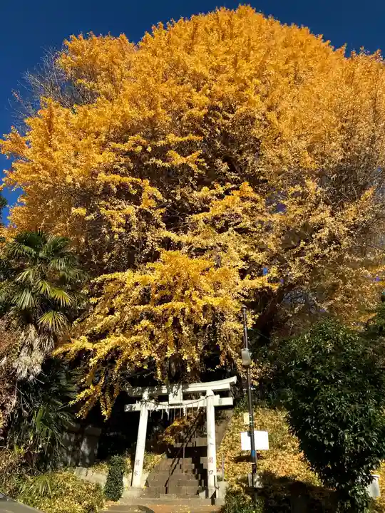 水神社の鳥居