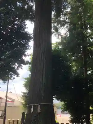 劒神社(福井県)