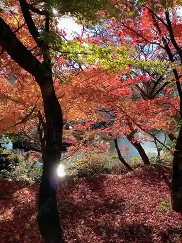 禅林寺（永観堂）の自然