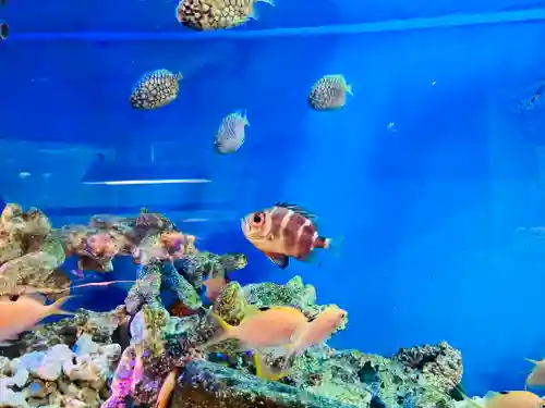 城岡神社(静岡県)