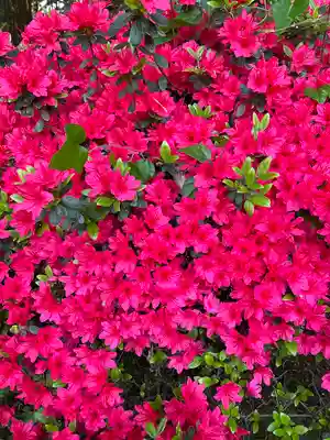  七国山薬王寺(東京都)