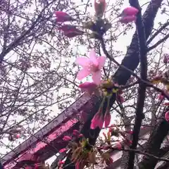 彌彦神社　(伊夜日子神社)(北海道)