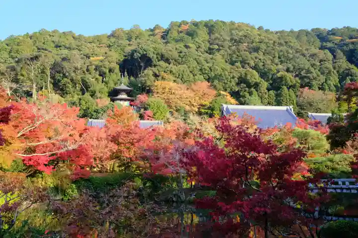 禅林寺(永観堂)の景色