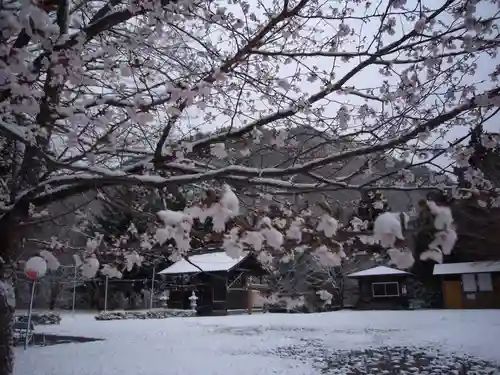 示現神社の景色