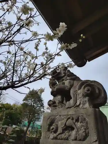 高円寺天祖神社(東京都)