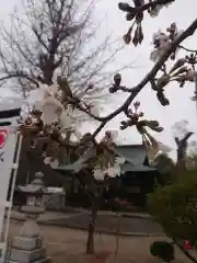 賀羅加波神社の自然