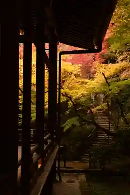 禅林寺(永観堂)(京都府)