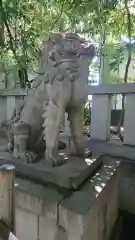 渋谷氷川神社の狛犬