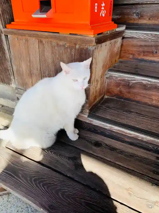 羽黒神社の動物