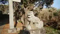 大杉神社の狛犬