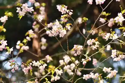 磐椅神社(福島県)