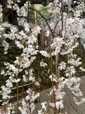 小川諏訪神社(福島県)