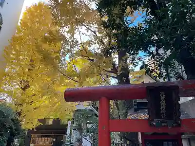 銀杏岡八幡神社(東京都)