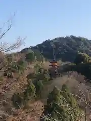 清水寺(京都府)