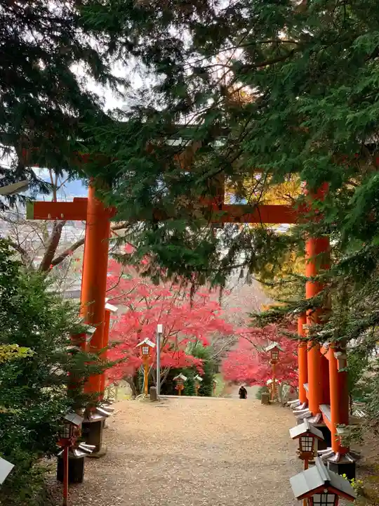 新倉富士浅間神社の鳥居