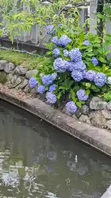 くろ谷 金戒光明寺(京都府)