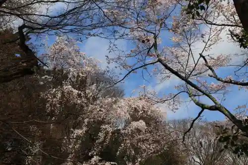 三春大神宮の庭園