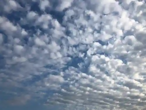 高司神社〜むすびの神の鎮まる社〜の自然