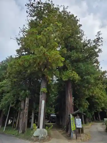 塩野神社(長野県)