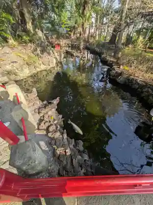 世田谷八幡宮(東京都)