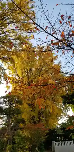 葛西神社の自然