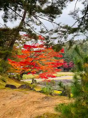 毛越寺(岩手県)