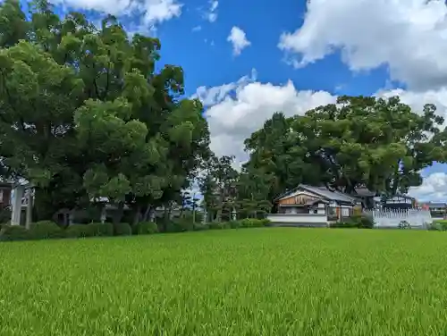玉田神社(京都府)