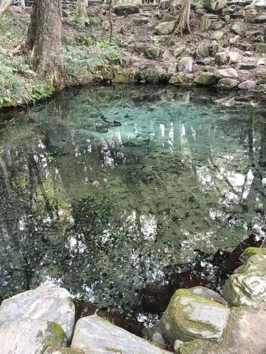 泉神社の{uncategorized: "未分類", other: "その他", undefined: "問題あり", building: "その他建物", grave: "お墓", sacred_gate: "鳥居", guardian: "狛犬", statue: "像", buddha: "仏像", history: "歴史", nature: "自然", garden: "庭園", animal: "動物", pagoda: "塔", temizu: "手水舎", mountain_gate: "山門・神門", sanctuary: "本殿・本堂", subordinate: "末社・摂社", art: "芸術", scenery: "景色", jizo: "地蔵", ema: "絵馬", goshuin: "御朱印", omikuji: "おみくじ", items: "授与品その他", amulet: "お守り", goshuincho: "御朱印帳", eats: "食事", festival: "お祭り", votive_dance: "神楽", shichigosan: "七五三参", wedding: "結婚式", experience: "体験その他", initially: "初詣", around: "周辺", anti_infection: "感染症対策"}