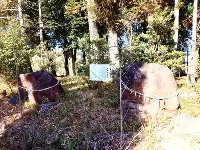 中蒔田椋神社(埼玉県)