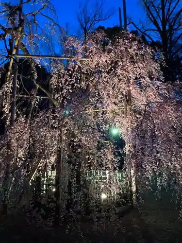 大國魂神社の自然