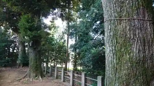 鶴峯八幡宮のその他建物