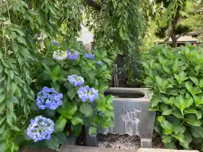 大乗寺(神奈川県)