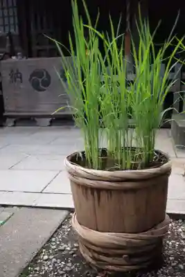 ときわ台天祖神社のその他建物