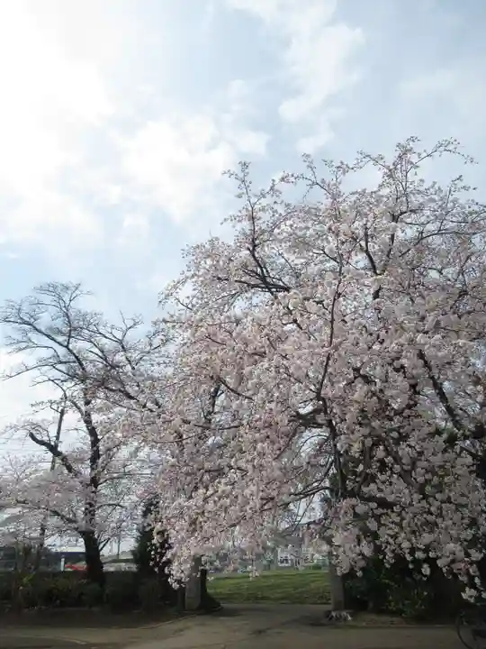 清泰寺(千葉県)