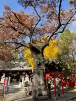 新田神社(東京都)