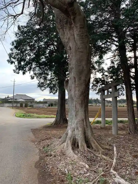 白幡神社(千葉県)