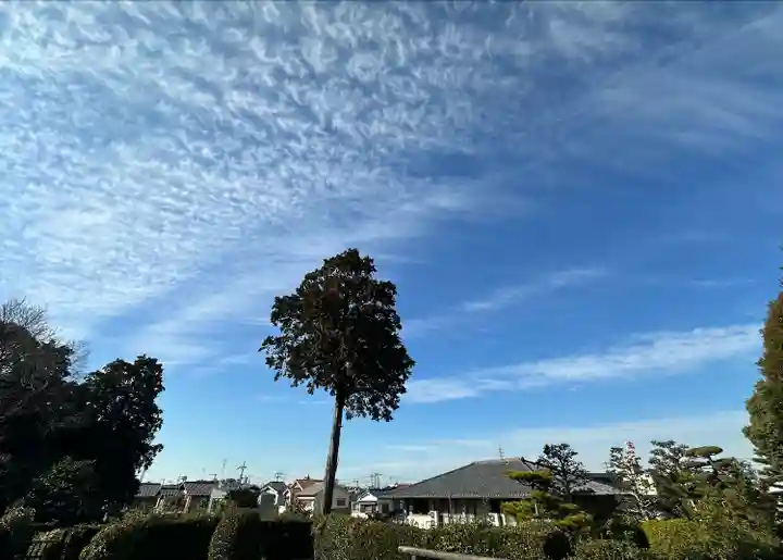 誉田八幡宮(大阪府)