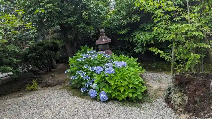 長徳寺の庭園