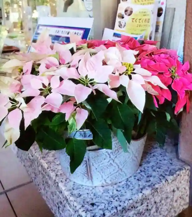 阿佐ヶ谷神明宮(東京都)