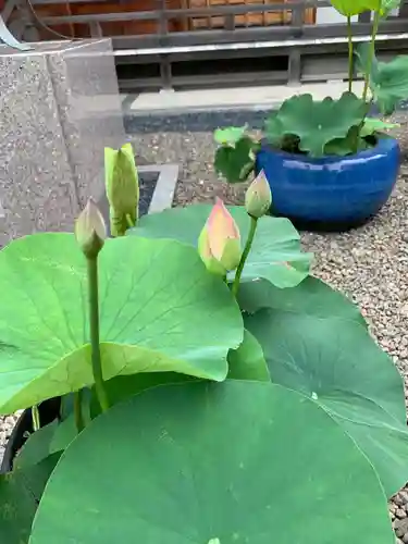 上行寺(静岡県)