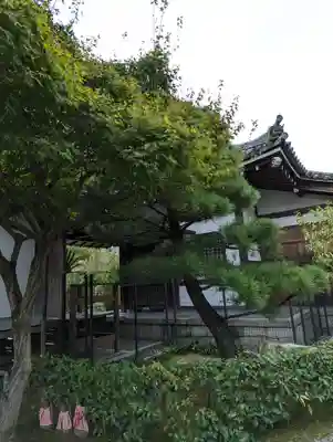 獅子窟 華山寺(京都府)