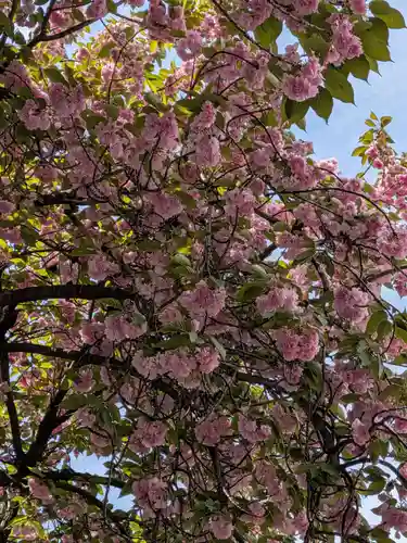 荘厳寺(東京都)