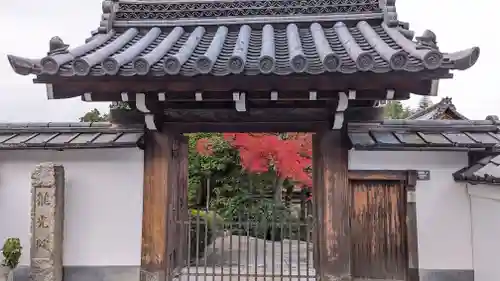 龍光院の山門