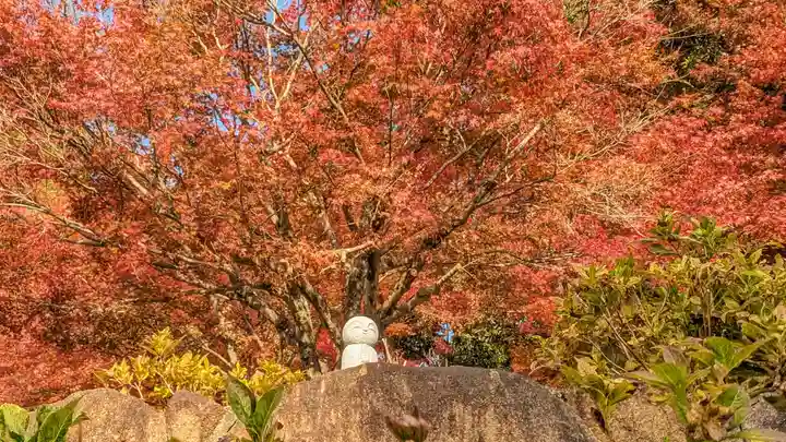 柳谷観音 楊谷寺(京都府)